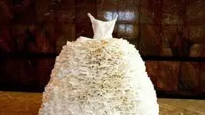 Breath taking wedding gowns made from toilet paper