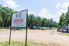 Resuscitated Adapalm will generate over 2,500 jobs this year, says GM