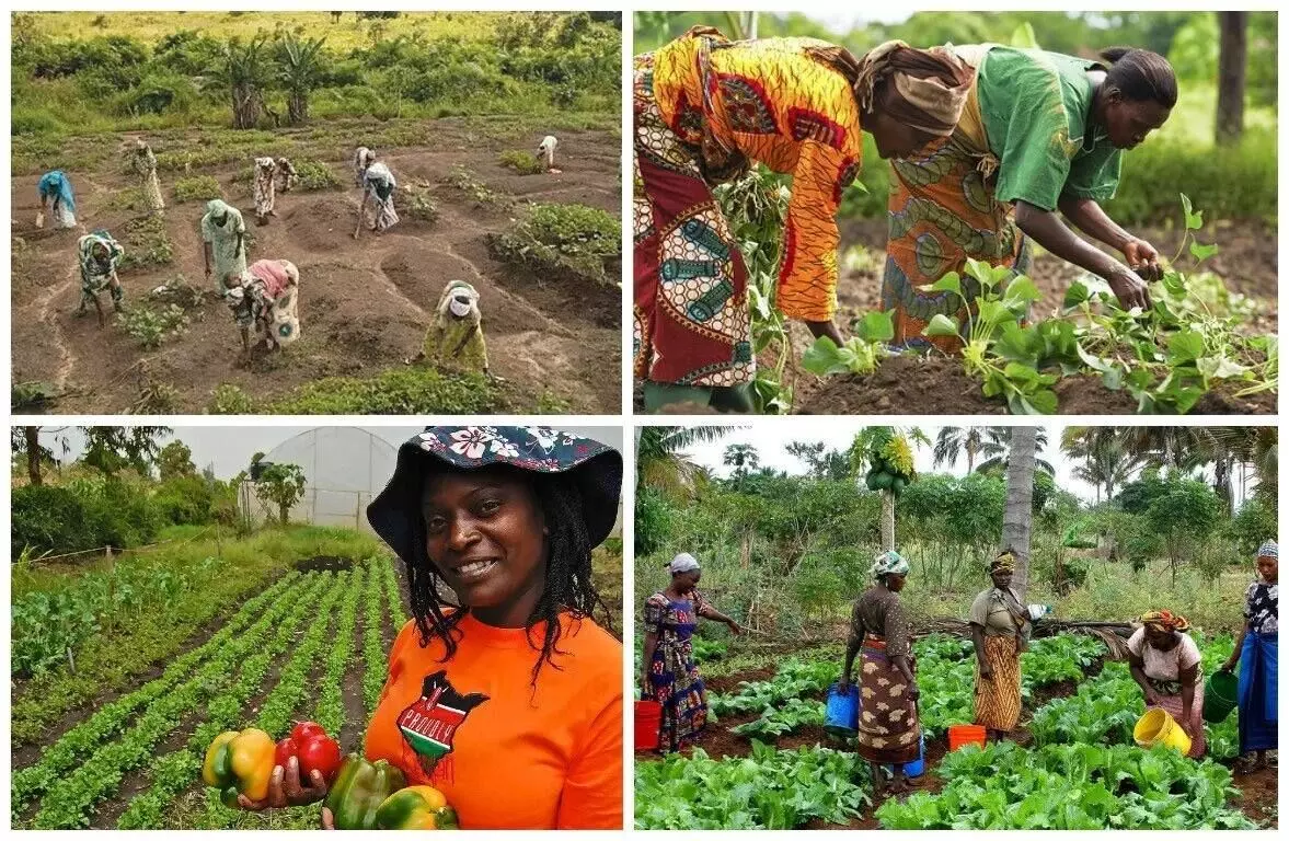 IWD: Association wants better opportunities for women farmers