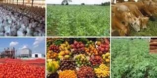 Stakeholders call for standard pricing for agro-produce