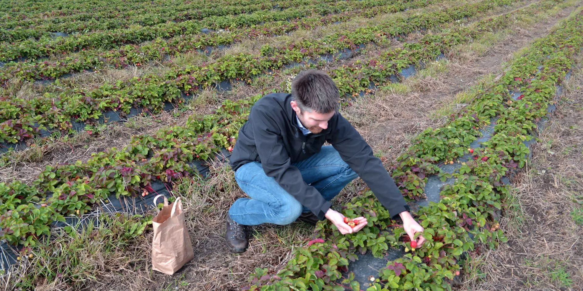 EU suggests €500m for farmers dealing with Ukraine war fallout