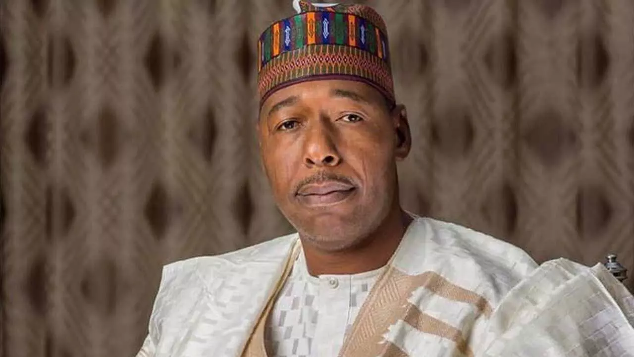 Borno cultivated 30,000 hectares of rice farm, says Zulum