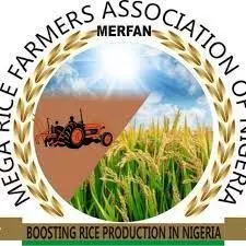 Lack of equipment hinders rice production – Farmer