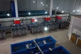 Agro-firm constructs fish hatchery, feeds factory