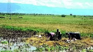 Environmentalist advocates soil test to prevent farmlands flooding