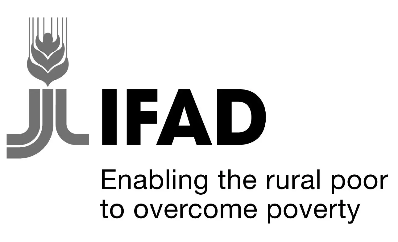 Youth mobilisation critical for food system transformation — IFAD