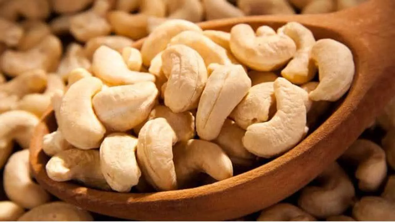 Association wants to achieve 70% cashew value addition