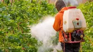 Stakeholders task FG on removal of hazardous pesticides