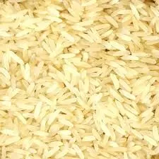 NCRI trains 150 youth, women farmers on rice preservation