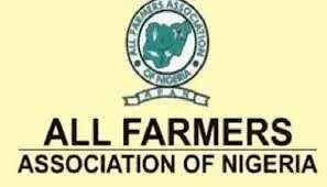 Flood destroys 2,790 hectares of crops in Nguru LG – AFAN