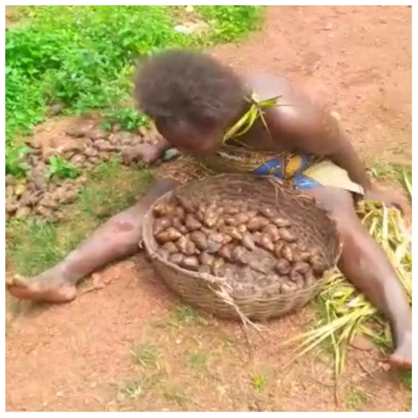 Group decry stripping widow naked for picking snails