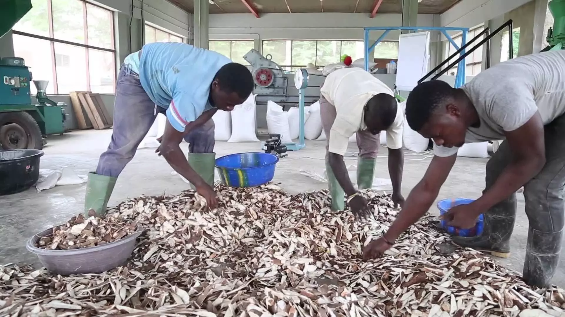 FG, stakeholders take action to address issues in animal feed sector