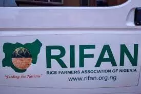 Nigeria to start exporting rice to Egypt, as RIFAN, Tiamin sign MoU