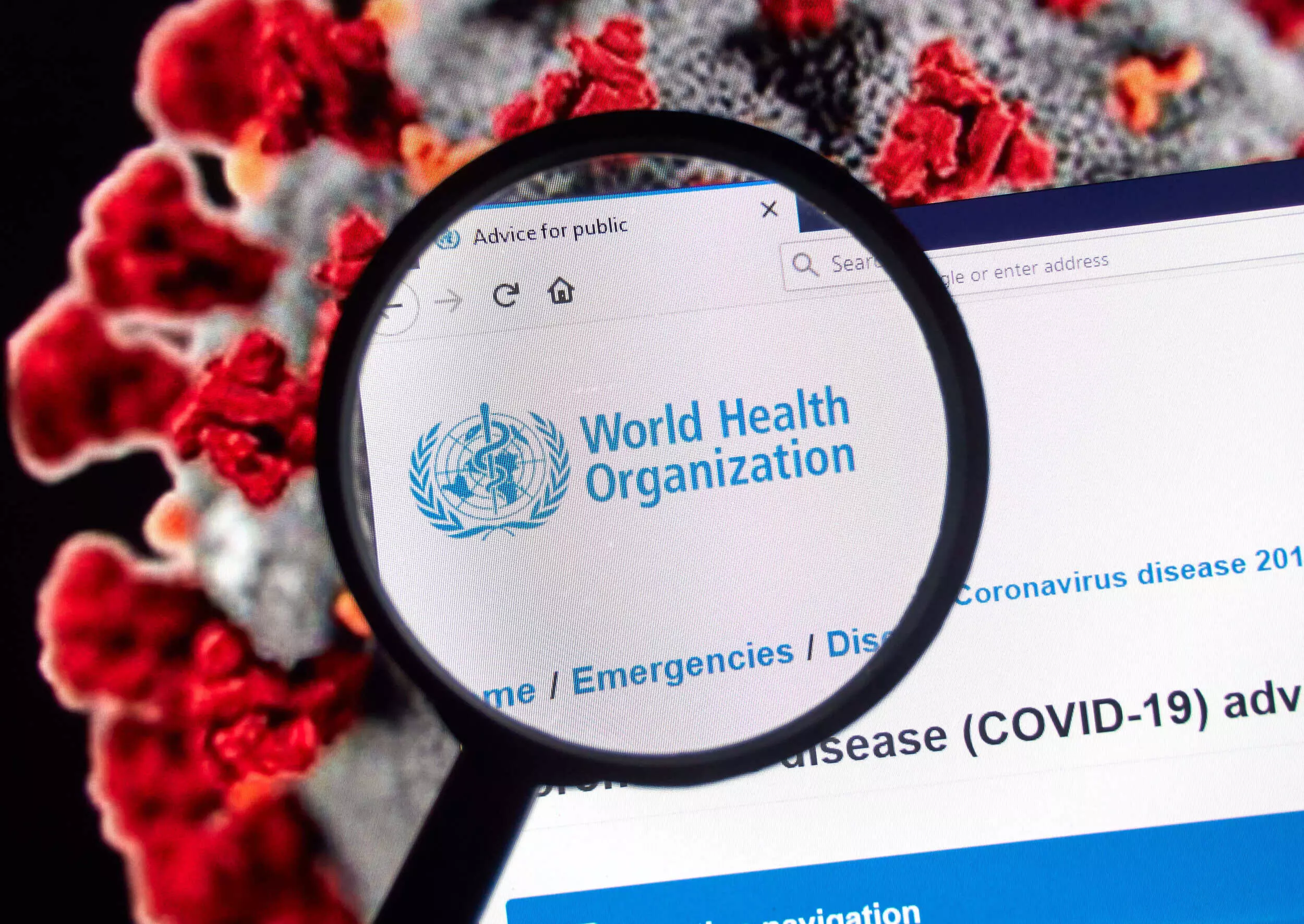 China Covid-19 surge on agenda at WHO meeting