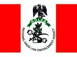 NDLEA intercepts drugs hidden in sculpture, imported vehicle