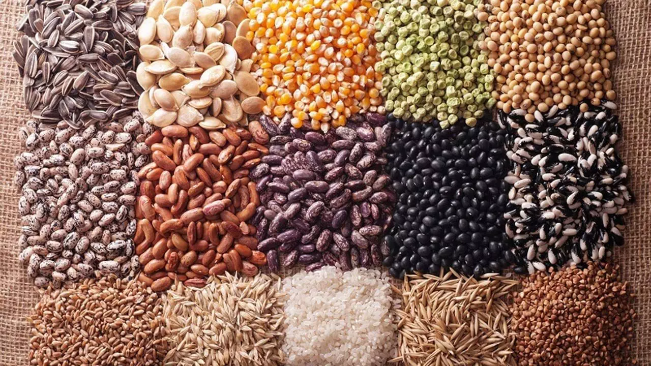 Ukraine to establish grain hubs in Nigeria