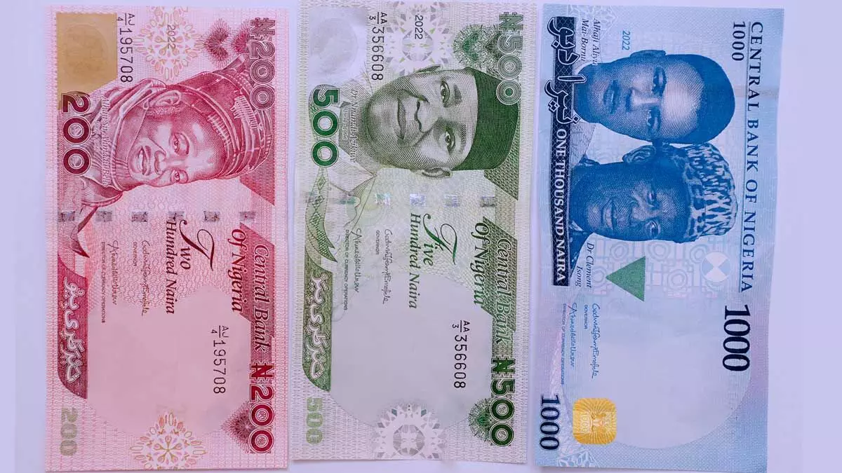 Abakaliki panics as shops, petrol stations reject old naira notes