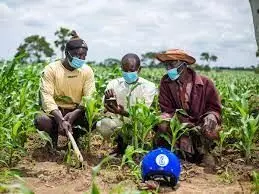 Experts caution farmers over changing weather patterns