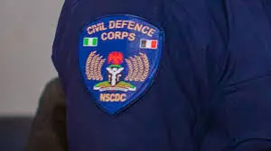 Civil Defence Day: NSCDC, ex-lawmaker advocate technology to reduce insecurity