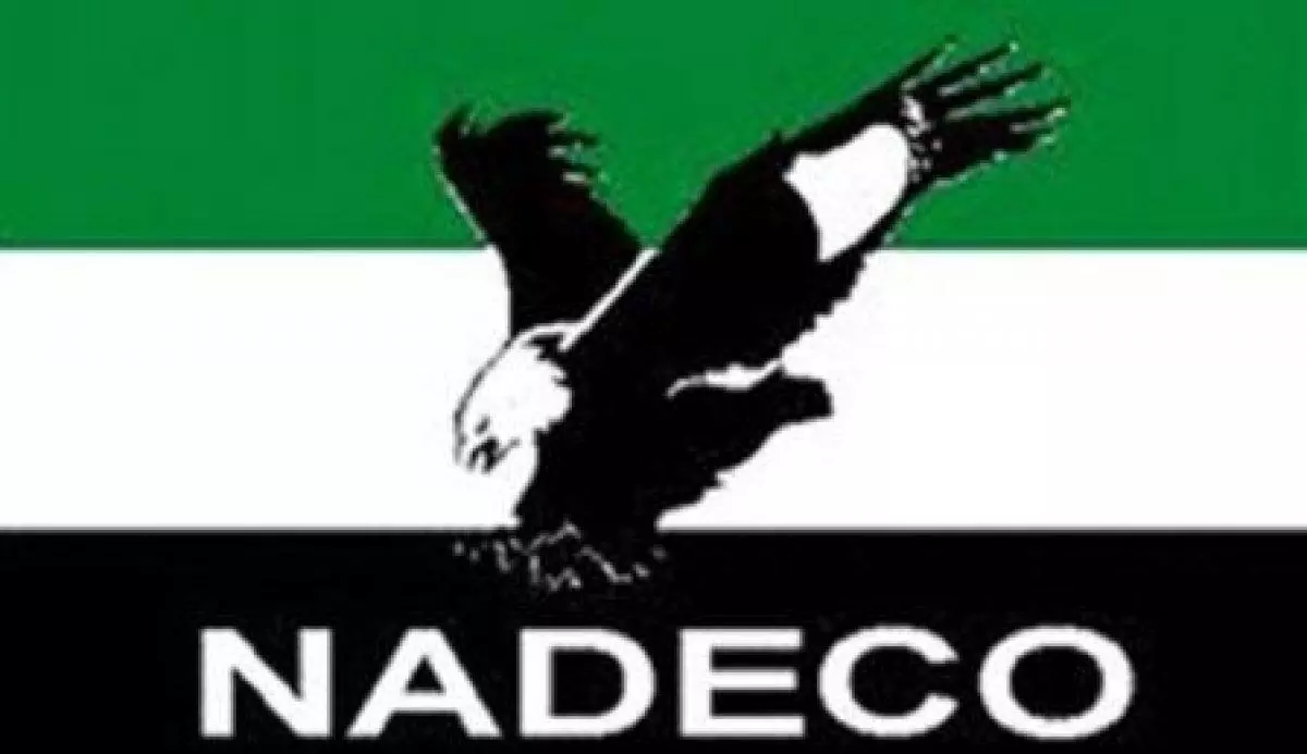 NADECO warns opposition against overturning Tinubus victory