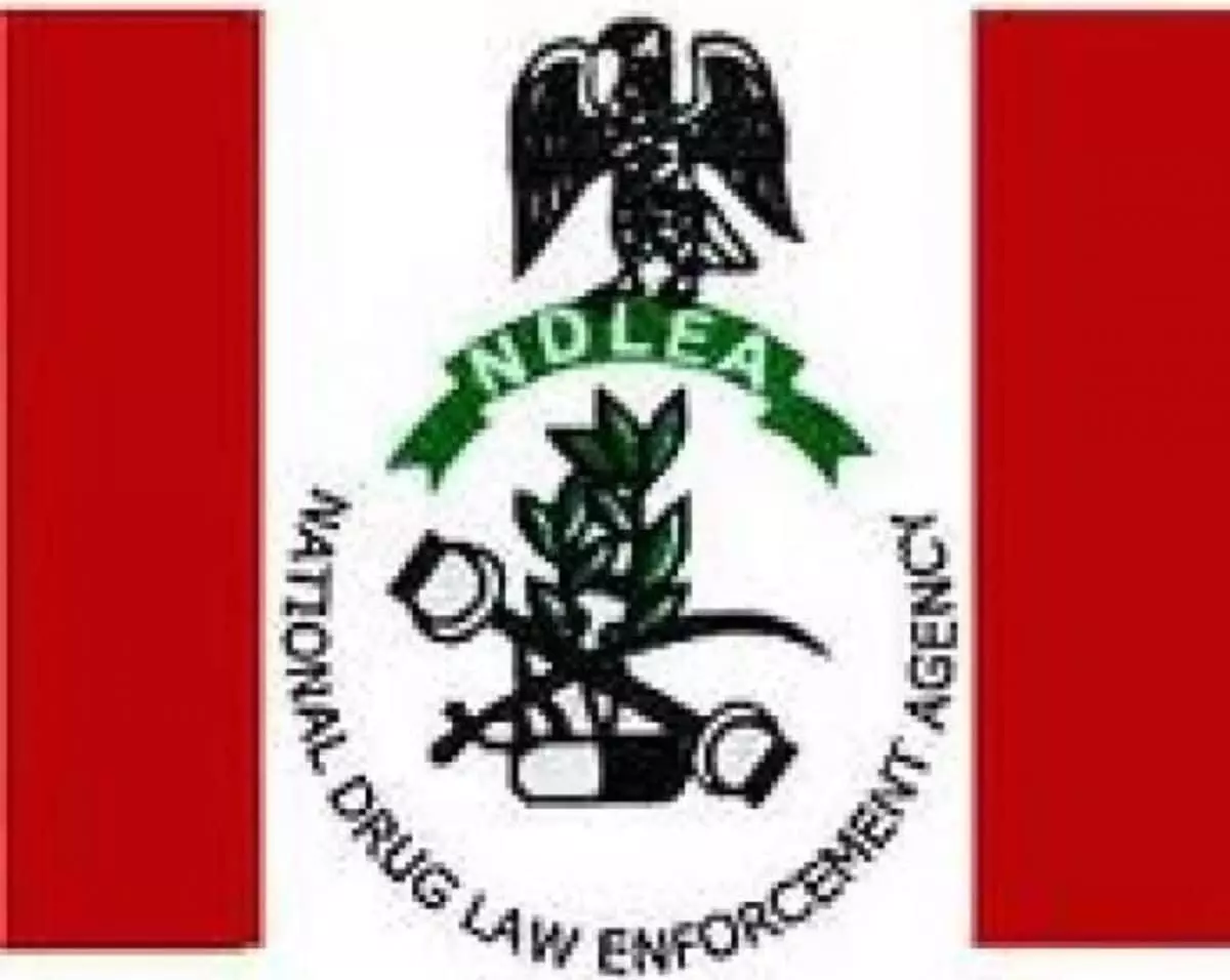 NDLEA arrests 2 sisters in Katsina with 6kg of Indian hemp