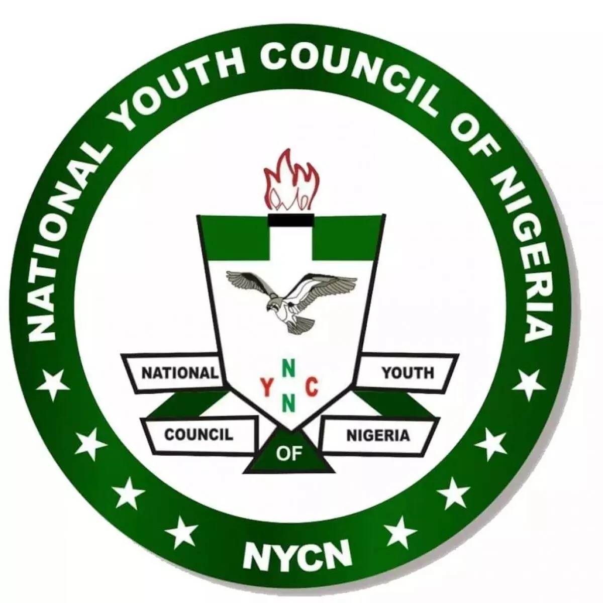 Reconsider decision to withdraw fuel subsidy – NYCN pleads with FG