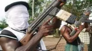 Gunmen attack Plateau village, killing scores – Police