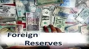 Experts propose measures to increase external reserves