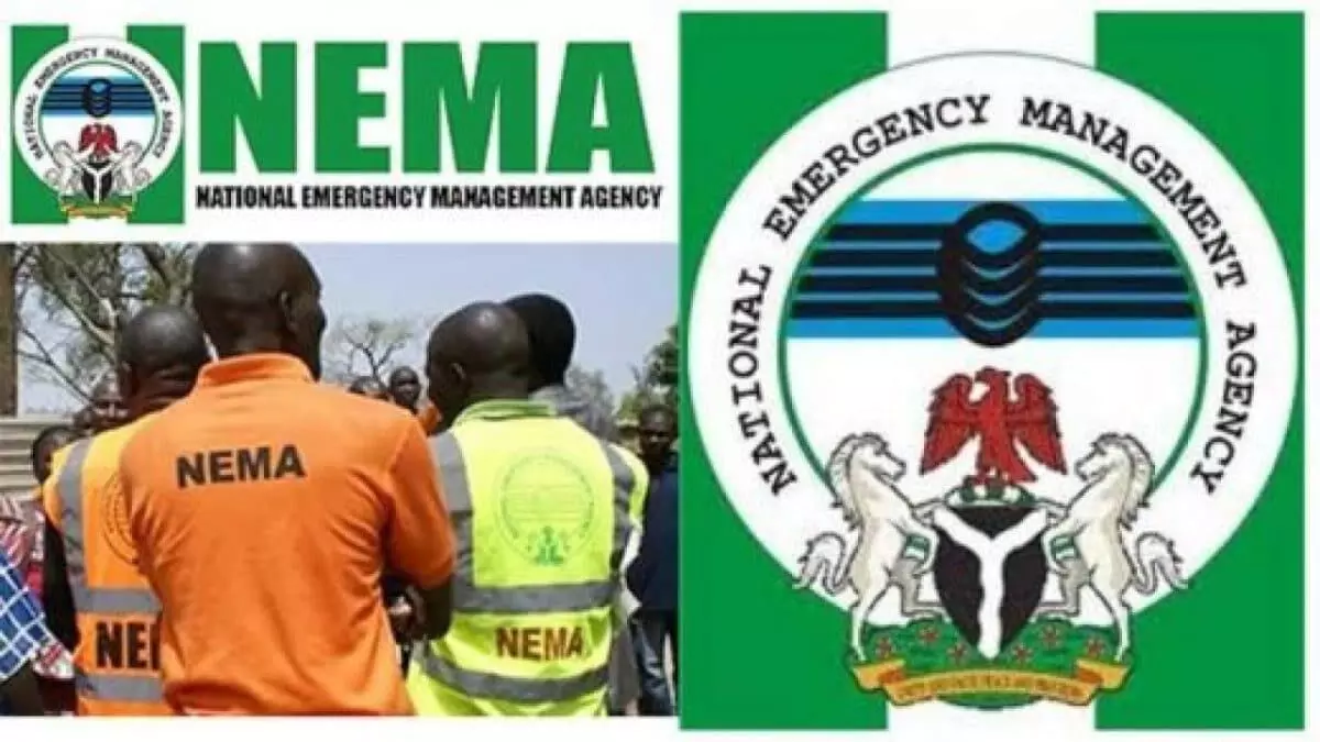 NEMA receives 102 stranded Nigerians from Libya