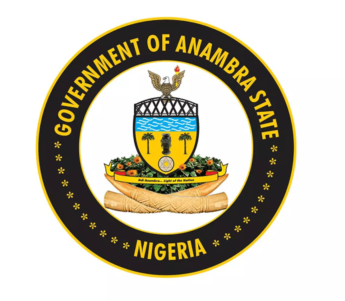 Anambra Govt. investigates Ejikeme’s JAMB result