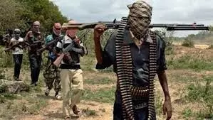 Gunmen invade palace, murder Imo traditional ruler