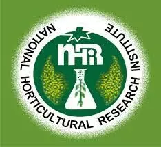 NIHORT alerts farmers on outbreak of okra new virus disease