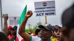 Subsidy Removal: Coalition backs NLC protest