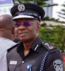 Promotion in Nigeria Police will be based on merit, says IG-P