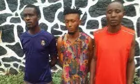 Police arrest 3 suspected cultists in Ogun