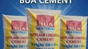 Cement price reduction: BUA’s action shows commitment to improving lives – Minister