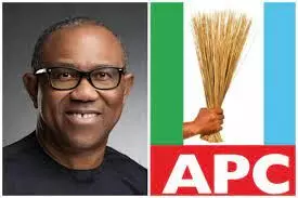 APC replies Peter Obi, says Tinubu needs no reintroduction