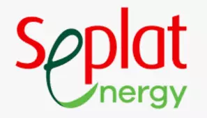 Seplat Energy ANOH gas plant reaches mechanical completion – Director