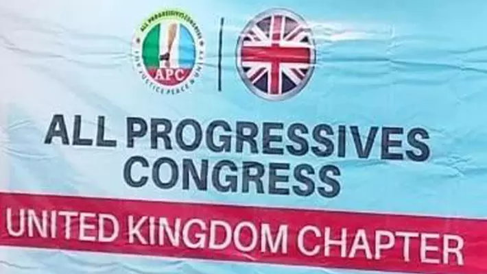 Diaspora APC moves to mend factional divides