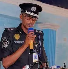 How we fished out 1,000 criminals in 3 months – Kano CP