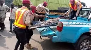 Truck kills female pedestrian at Onitsha – FRSC