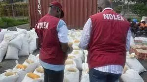 NDLEA recovers 900,000 opioid pills, 1,347.4kg in 7 states