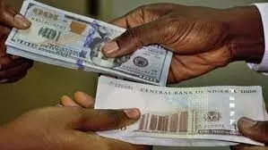 Naira slides by 4.6% against dollar at official market