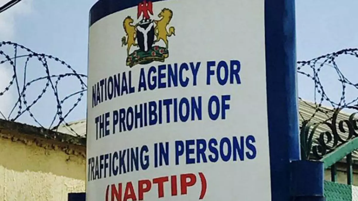 NAPTIP condemns obscene pictures of minor shared by father on social media