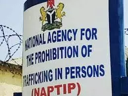 NAPTIP decries recent surge in baby factories across Nigeria