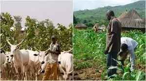 Senate plans national summit on farmers/herders clash