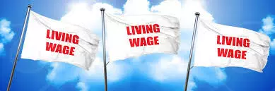 Fulfil your living wage promise to workers, LP urges Tinubu