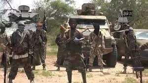 Boko Haram Commander, 5 fighters surrender in Borno