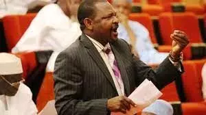 Senate recalls Ningi from suspension