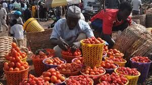 Scarcity of pepper, tomato hits Ilorin as Eid-el-Kabir approaches